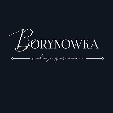 Willa Borynowka 카지미에르즈 돌니 외부 사진