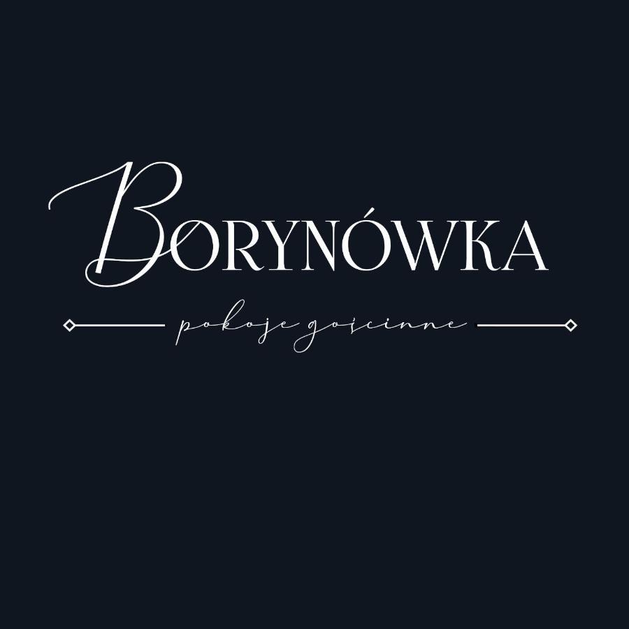 Willa Borynowka 카지미에르즈 돌니 외부 사진